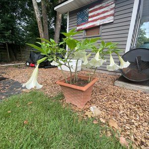 Meet your Posher, Randy